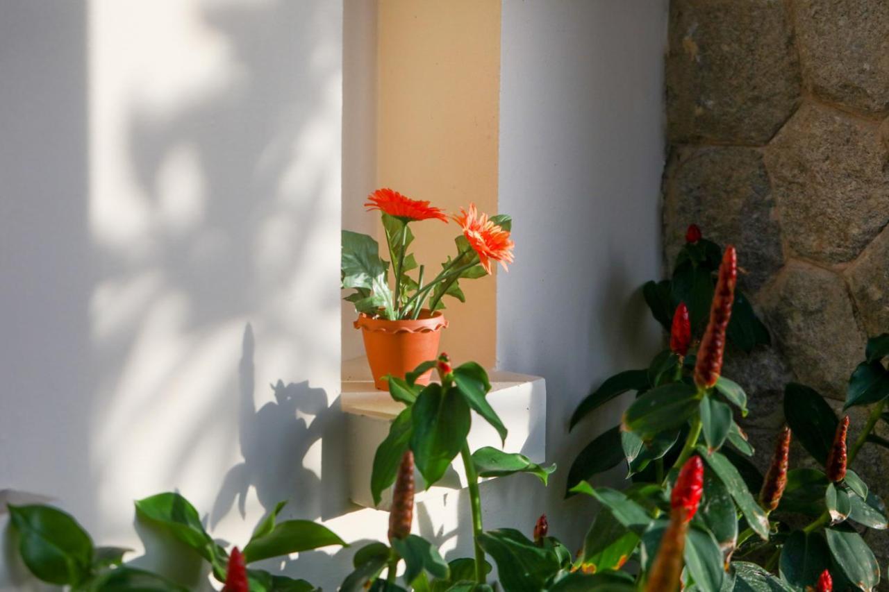 Prima Villas Karon Phuket Ban Karon エクステリア 写真